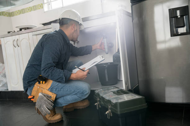 Best Affordable Plumbing Services  in Mackinaw, IL